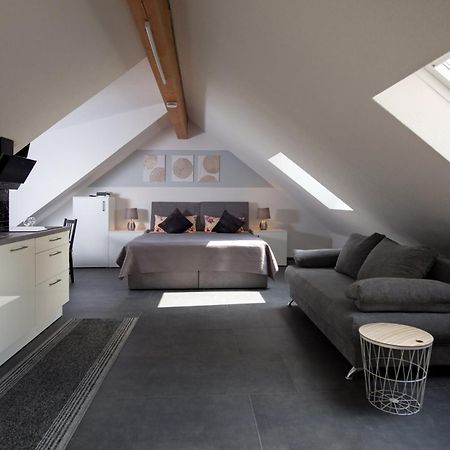 Ferienwohnung Regel Lauingen Bagian luar foto